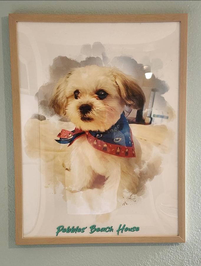 אדינבורג Pebbles' Beach House מראה חיצוני תמונה